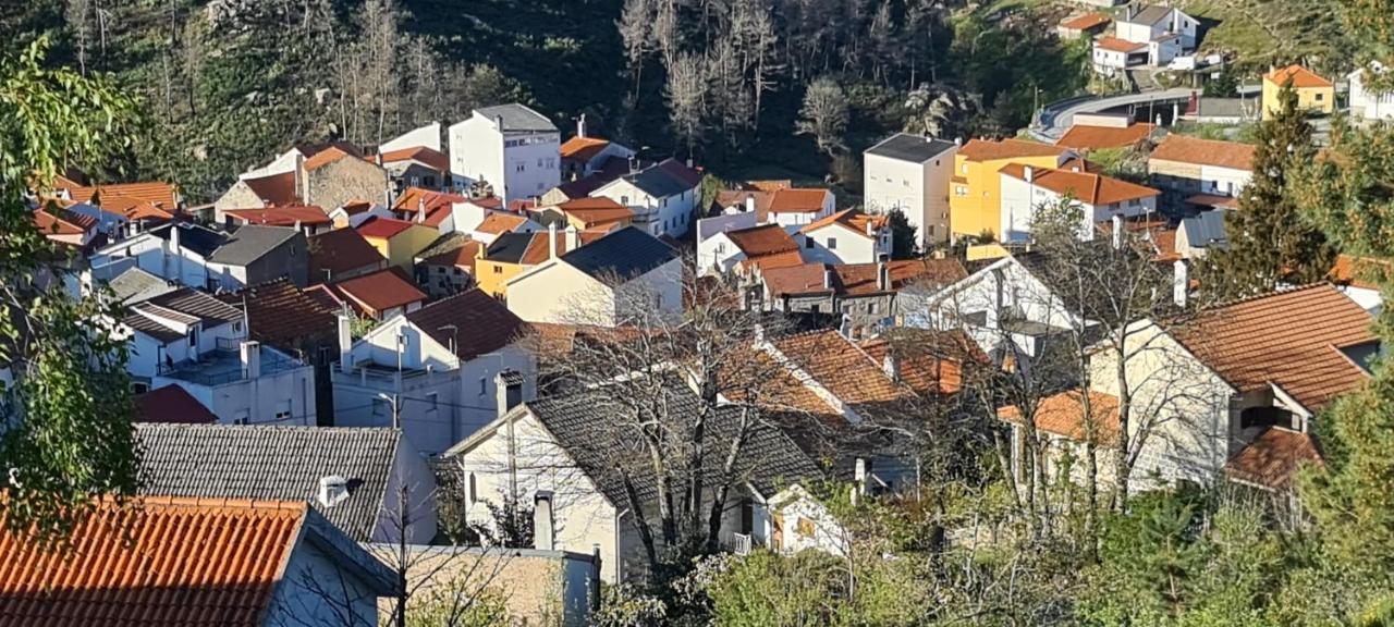 Casa Na Serra, Sabugueiro Sabugueiro  Ngoại thất bức ảnh